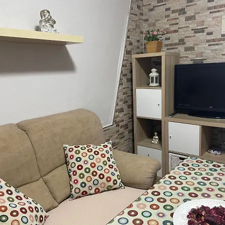 Palmera 펜션